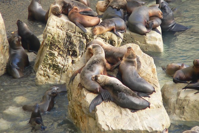 City Tour and Sea Lions at Punta Loma from Puerto Madryn - The Tehuelche monument and wide city views