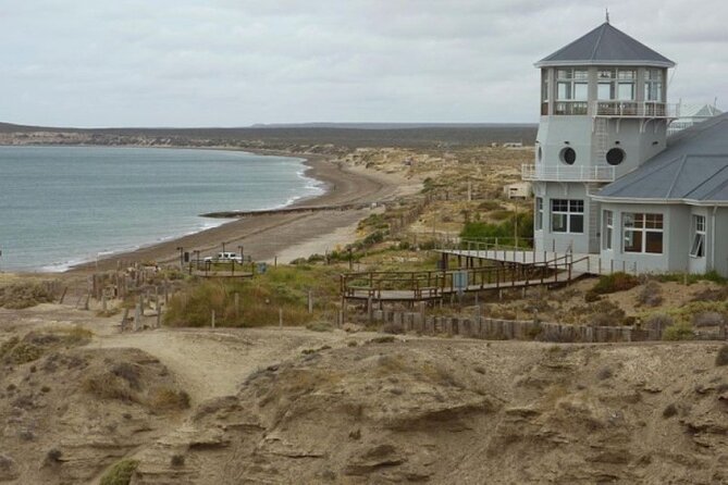 City Tour and Sea Lions at Punta Loma from Puerto Madryn - Ecocentro and Puerto Madryn’s marine setting