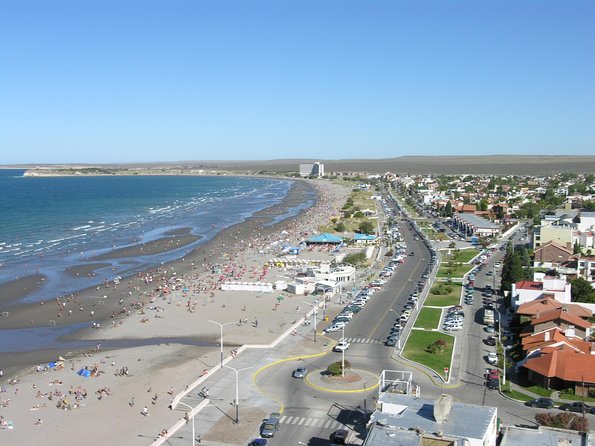 City Tour and Sea Lions at Punta Loma from Puerto Madryn - Watching sea lions and cormorants