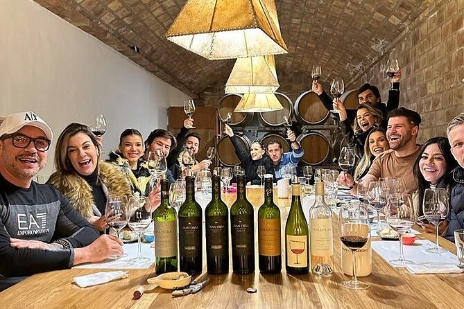 Classic Mendoza wineries with private lunch - Key points at a glance