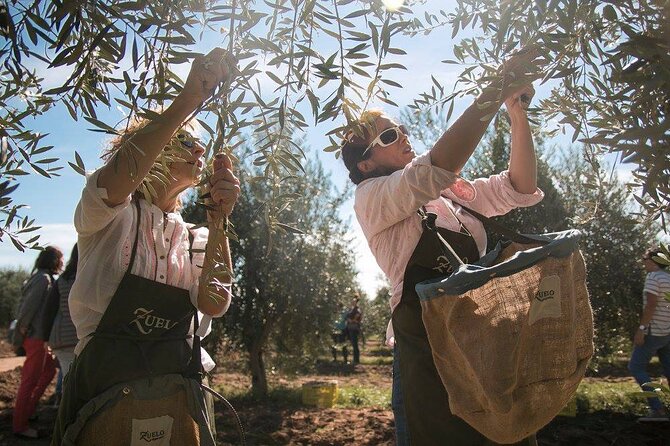 Classic Mendoza wineries with private lunch - Why this private Mendoza wine tour works well