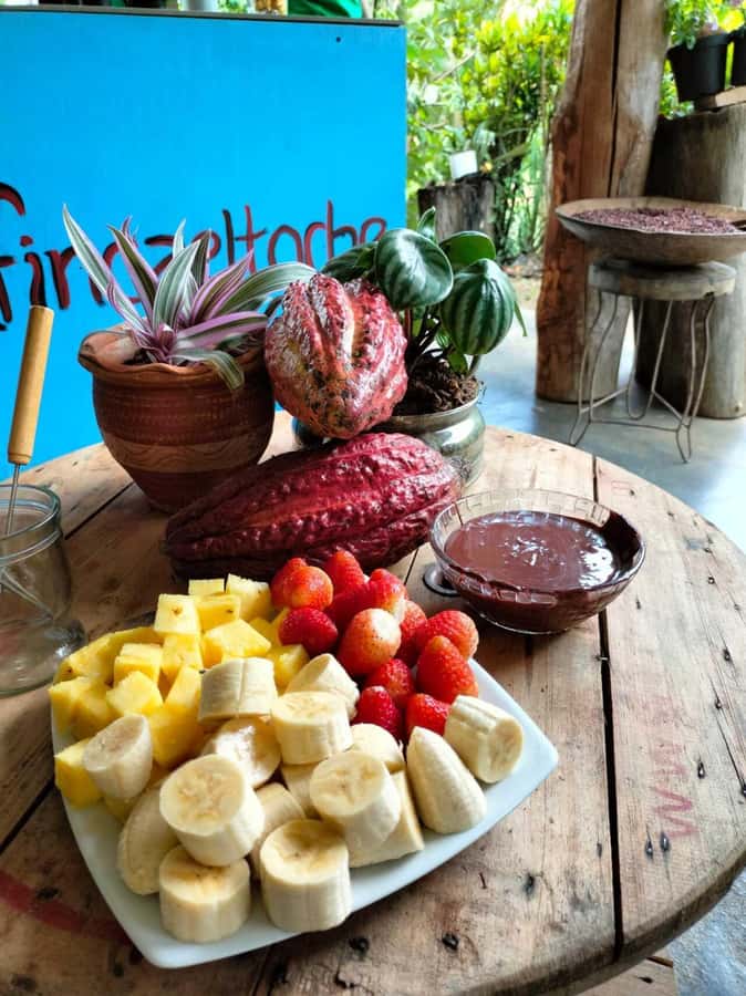Cocoa Tour - San Rafael Antioquia from Medellín - Key points to know before you book
