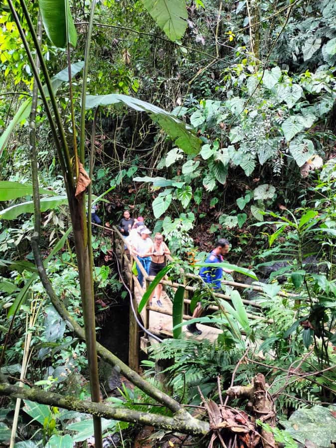 Cocoa Tour - San Rafael Antioquia from Medellín - A cocoa exfoliation with a practical twist