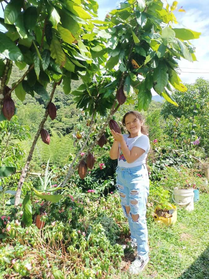 Cocoa Tour - San Rafael Antioquia from Medellín - Is $195 per person fair value?