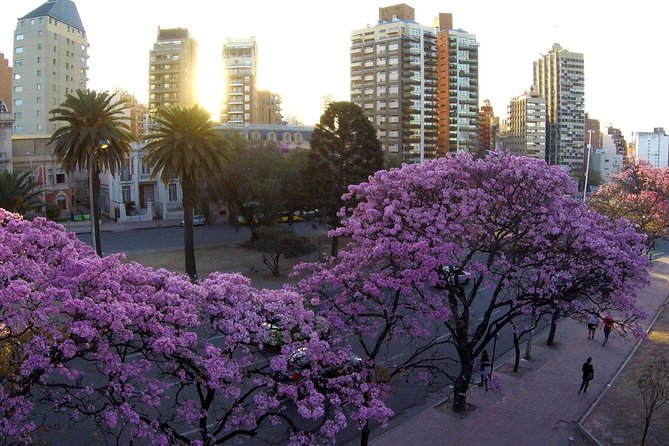 Cordoba City Tour with Optional Jesuitic Square - Nueva Córdoba and the Capuchin Church