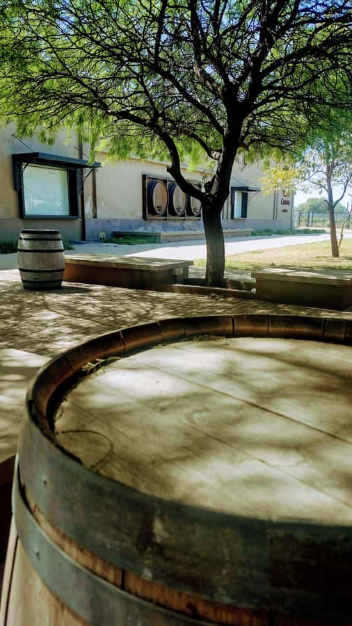 Córdoba: Wine Tour Privado a Colonia Caroya - Día completo - Why Colonia Caroya makes a good day trip