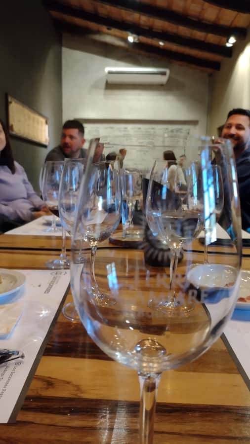 Córdoba: Wine Tour Privado a Colonia Caroya - Día completo - Tasting Córdoba wines with a little structure