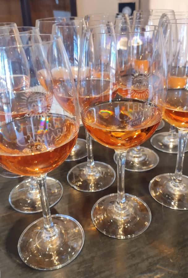 Córdoba: Wine Tour Privado a Colonia Caroya - Día completo - The second winery brings useful contrast