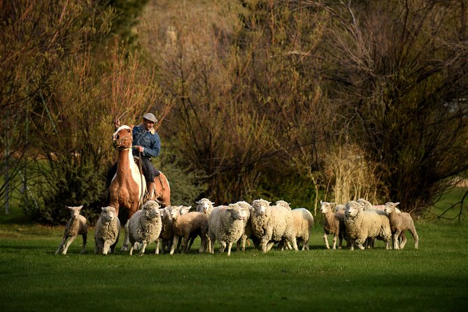 Country Afternoon with Dinner Show - Estancia 25 de Mayo - The organic garden and old ranch facilities