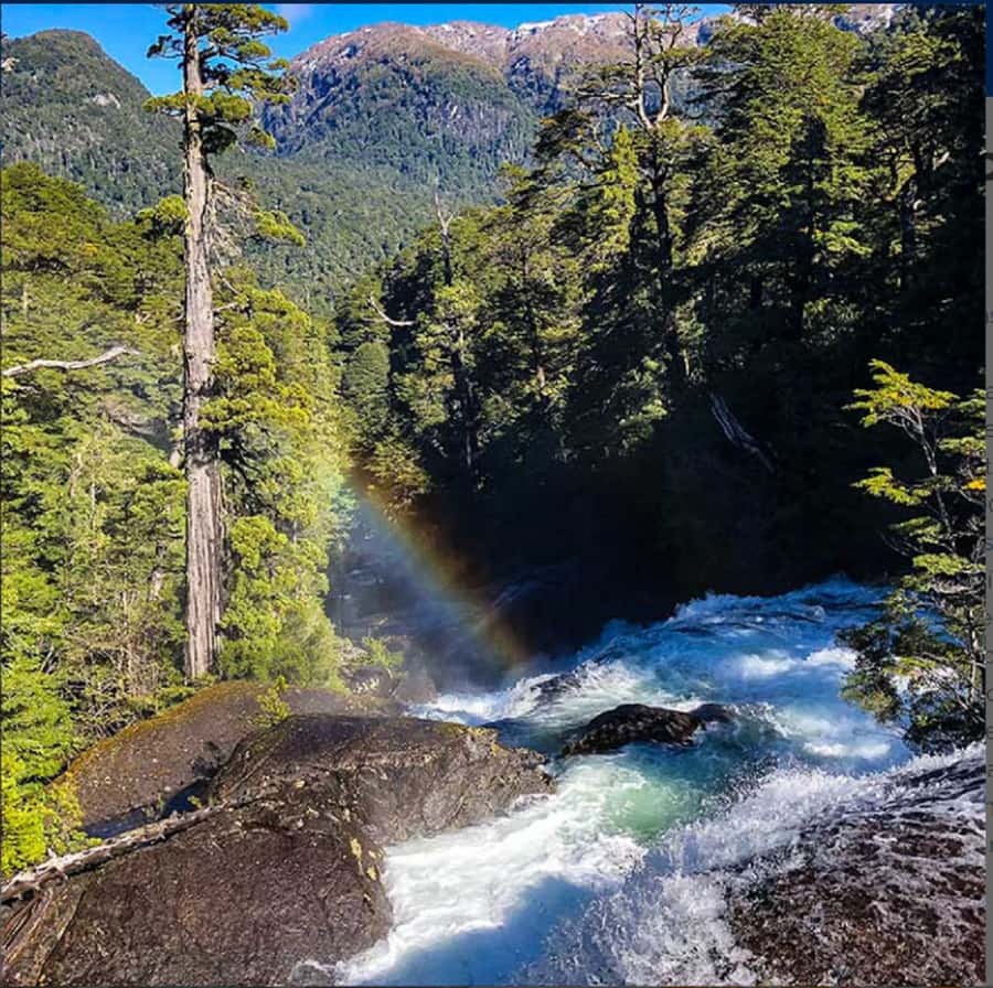 Crossing to Puerto Blest and Cascada de los Cántaros - Puerto Blest: A Quiet Shore Inside the National Park