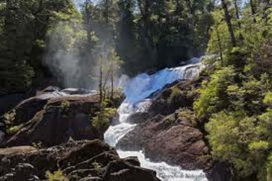 Crossing to Puerto Blest and Cascada de los Cántaros - Who Will Enjoy This Excursion Most