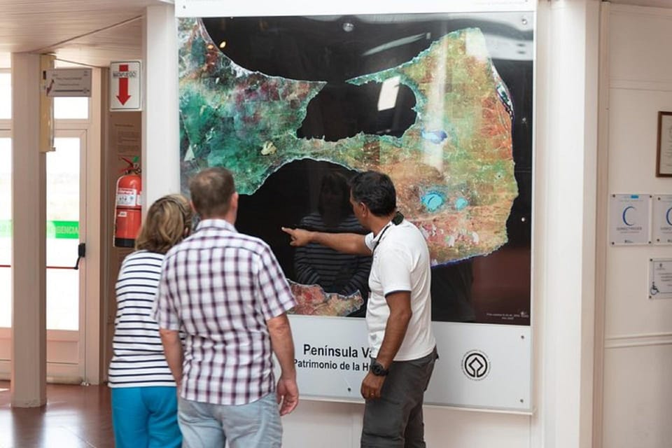 Cruise Shore Excursion Peninsula Valdes - Box Lunch Included - Transport, Group Size, and Comfort