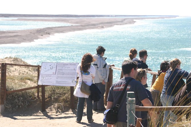 Cruise Shore Excursion Peninsula Valdes - Pto Madryn - Patagonia - Argentina - The extra sea lion stop