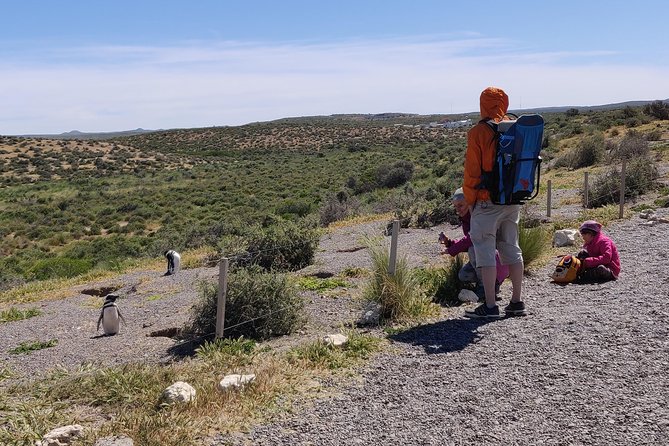Cruise Shore Excursion Punta Tombo with Boxlunch from Pto Madryn - The three-hour ride across Chubut