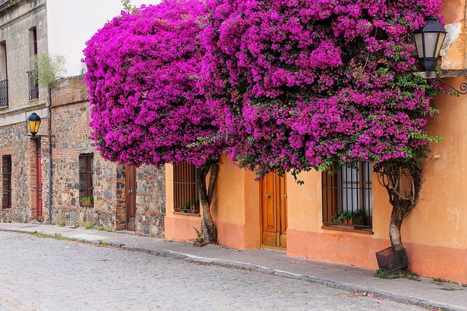 Day Tour in Colonia del Sacramento - Key Points to Know Before Booking