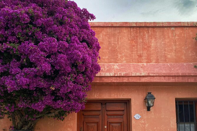 Day tour in Colonia del Sacramento, Uruguay - Free time until the return at 5:00 pm