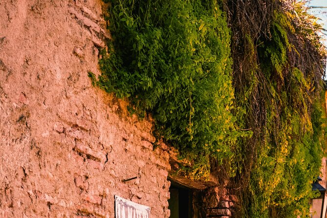 Day tour in Colonia del Sacramento, Uruguay - Who will enjoy this day trip