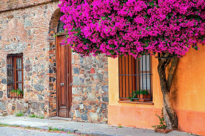 Day Tour + snack on board - Why Colonia makes a good day trip from Buenos Aires