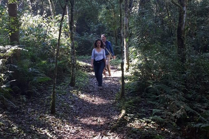 Day trip to Mocona Falls and Salto Encantado Provincial Park - Salto Encantado brings a taller waterfall