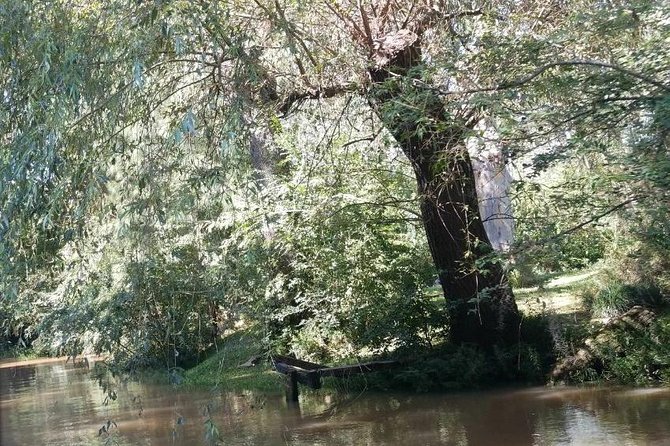 Day Trip to San Isidro and Tigre Delta Boat Tour - How the private format affects the value
