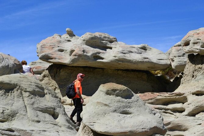 Discover La Leona Petrified Forest: Guided Hiking Tour - Key points to know before booking
