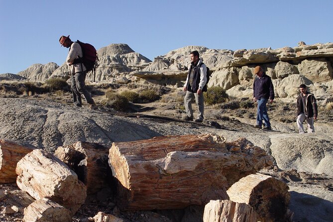 Discover La Leona Petrified Forest: Guided Hiking Tour - Walking among petrified trees and dinosaur remains