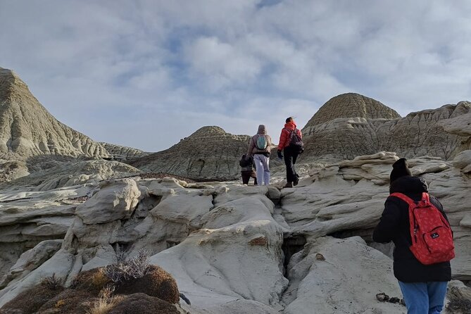 Discover La Leona Petrified Forest: Guided Hiking Tour - Who will enjoy La Leona Petrified Forest?
