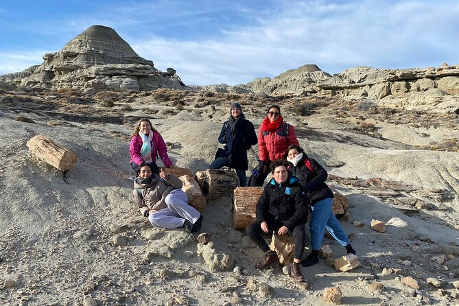 Discover La Leona Petrified Forest: Guided Hiking Tour - A broad view of Argentino Lake and the Andes