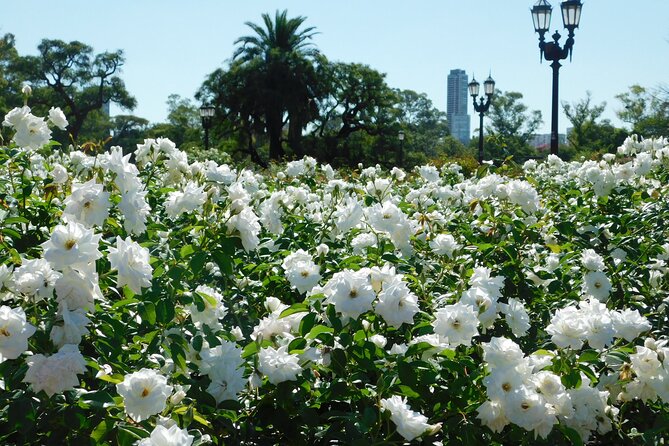 Discover nature at Buenos Aires city “The Palermo Woods” - Spending 45 minutes in the Rosedal de Palermo