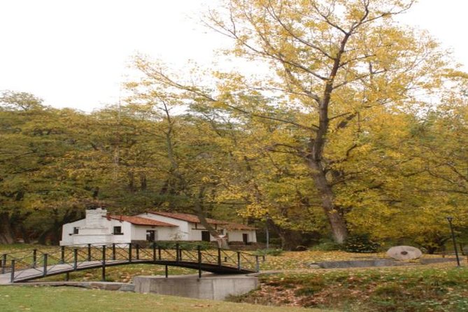 Discover Villavicencio Natural Reserve: Half-Day Adventure - What you can and cannot see at the hotel