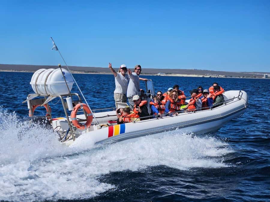 Dolphin Watching Adventure - Setting out from Luis Piedrabuena Pier