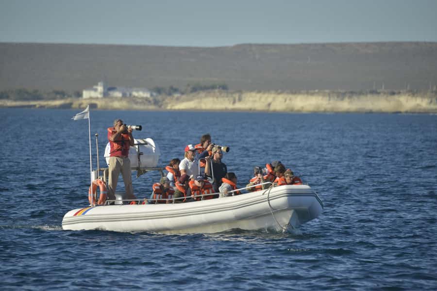 Dolphin Watching Adventure - Should you book the Dolphin Watching Adventure?
