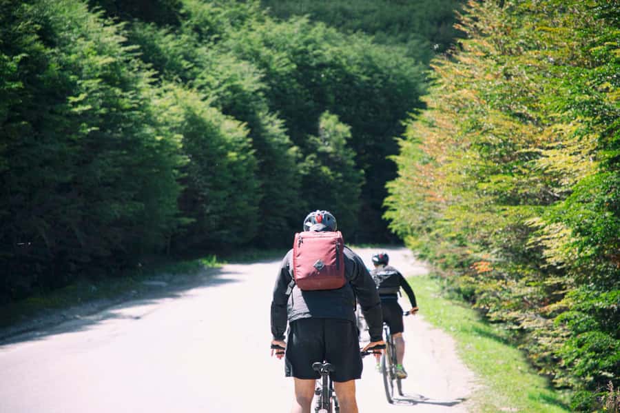E-BIKE Beagle Viewpoint - The climb beside Buena Esperanza Stream