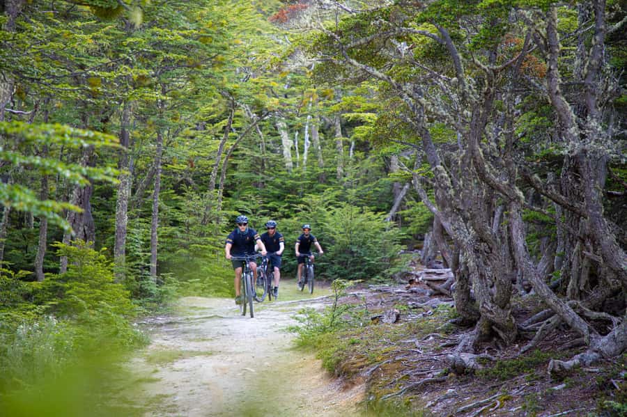 E-BIKE Beagle Viewpoint - Small groups make a real difference