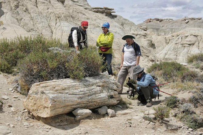 El Calafate: Day Trip to the spectacular Petrified Forest La Leona - Lunch halfway through the hike