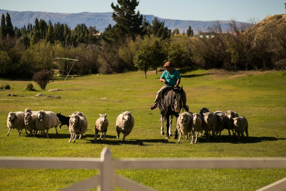 El Calafate: Estancia 25 de Mayo Tour with Dinner & Transfer - Dinner at El Quincho