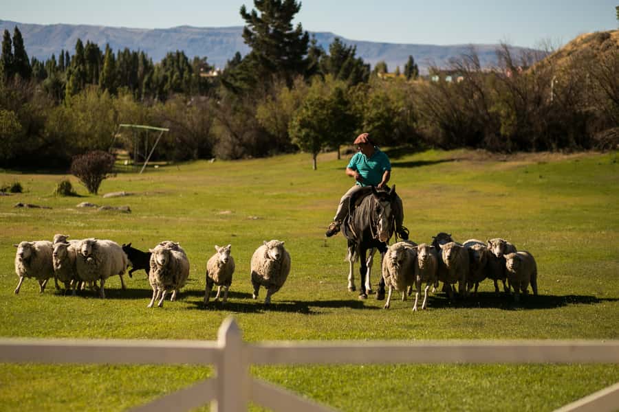 El Calafate: Estancia 25 de Mayo Tour with Dinner & Transfer - Argentine music and dancing after dinner