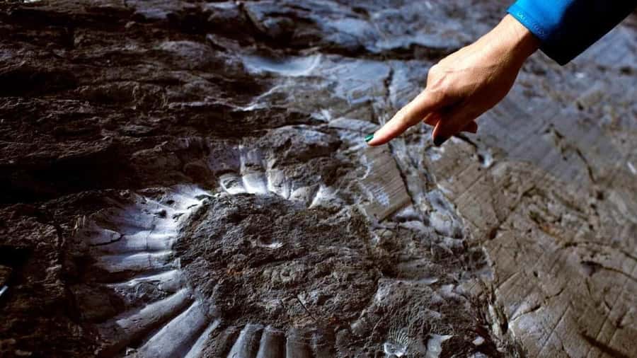 El Calafate: Fossil Canyon Trekking at Estancia Cristina - Key points to know before you book