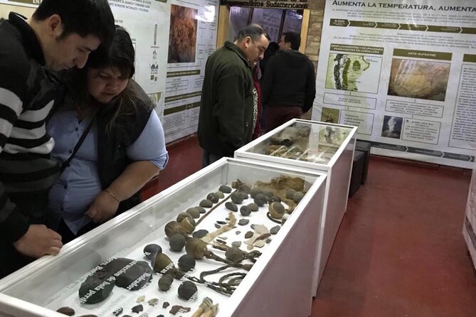 El Calafate History Museum Tour - What the dinosaur and mega-mammal displays add