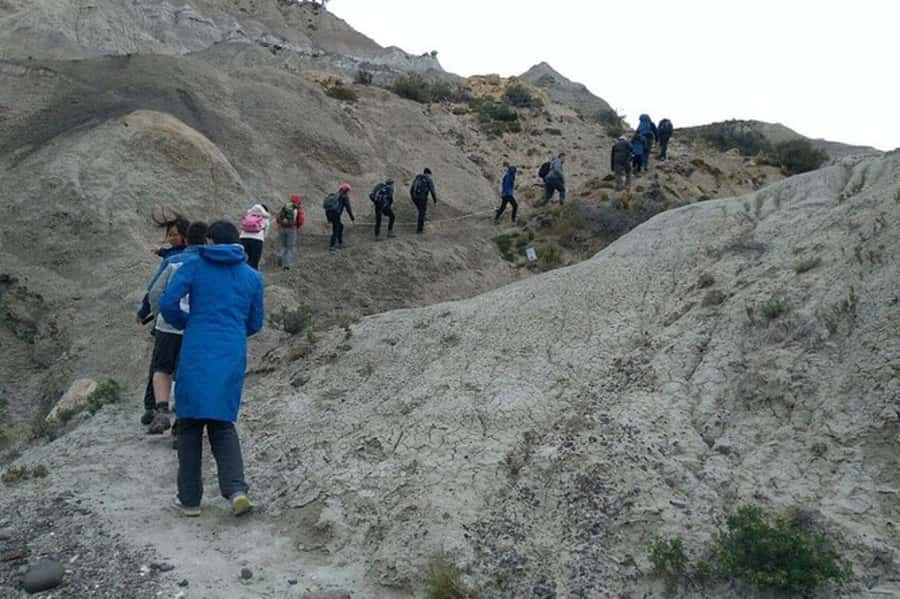 El Calafate: La Leona Petrified Forest & Fossils Trek - Key points to know before booking