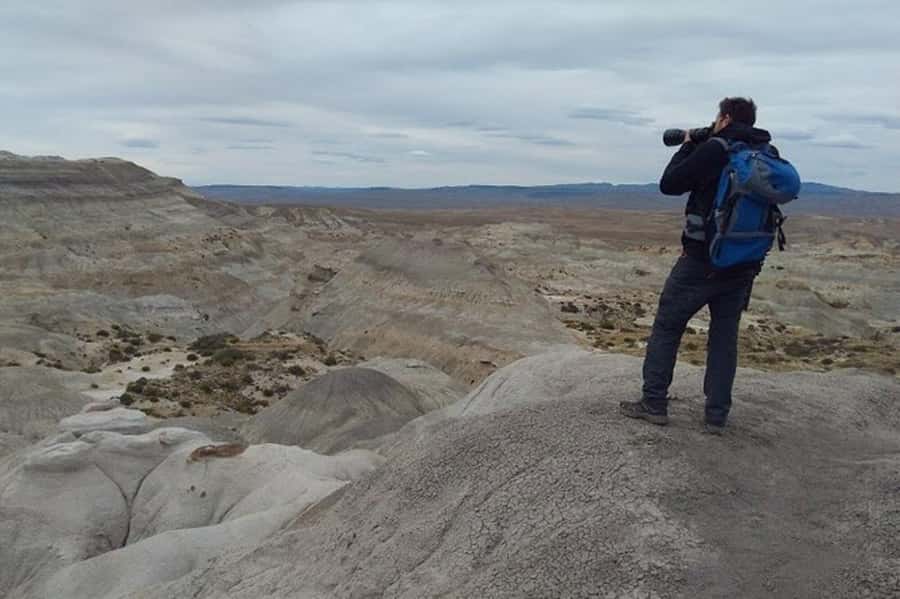 El Calafate: La Leona Petrified Forest & Fossils Trek - The value of the $197 price