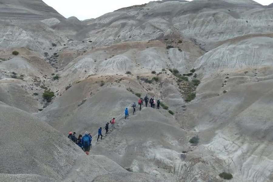 El Calafate: La Leona Petrified Forest & Fossils Trek - Walking among trees turned to stone