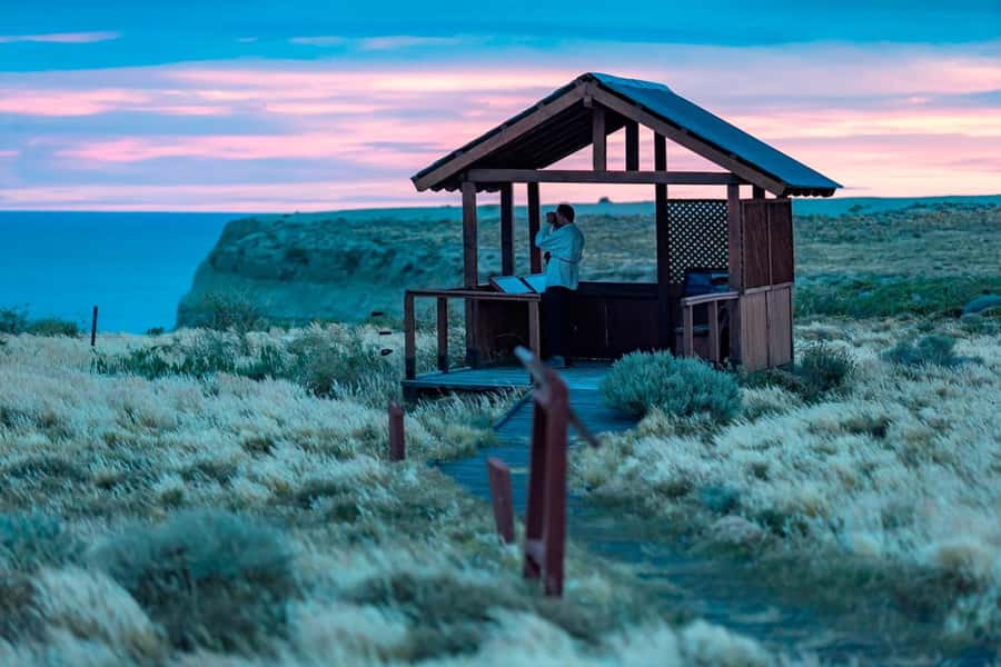 El Calafate: Monte León 4x4 Wolves and Penguins Excursion - Why Monte León makes a worthwhile side trip