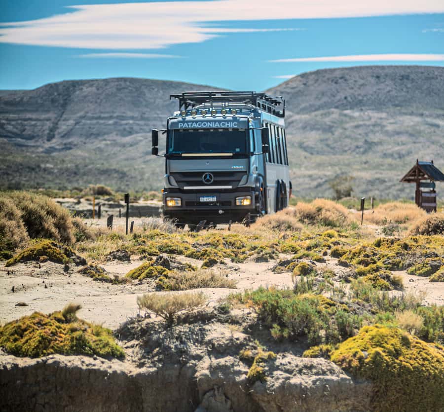 El Calafate: Monte León 4x4 Wolves and Penguins Excursion - Monte León Island and its seabirds