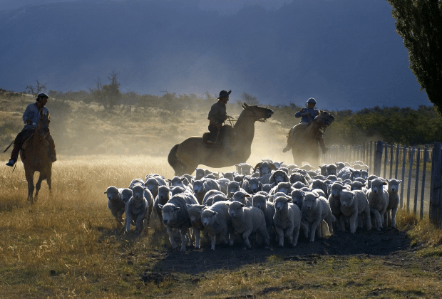 El Calafate: Nibepo Aike Ranch with Horseback Riding - Should you book Nibepo Aike Ranch?
