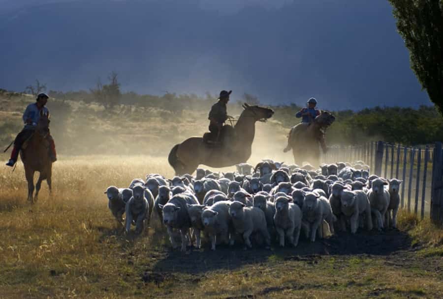 El Calafate: Nibepo Aike Ranch with Horseback Riding - The shearing shed and the working estancia