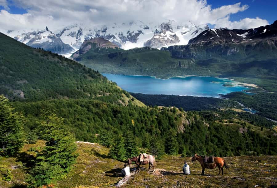 El Calafate: Nibepo Aike Ranch with Horseback Riding - What the $175 price really covers