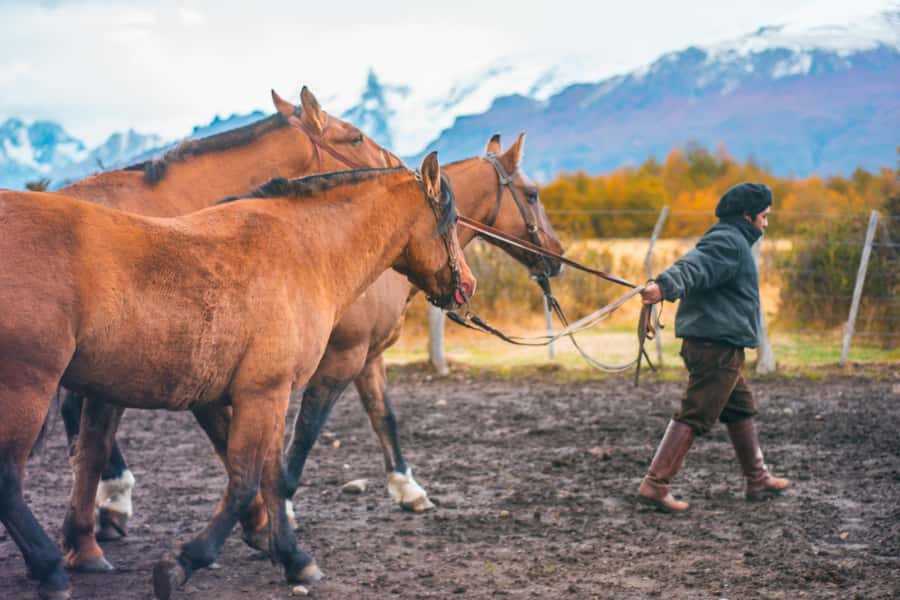 El Calafate: Nibepo Aike Ranch with Horseback Riding - Arriving at Nibepo Aike with coffee and Andes views
