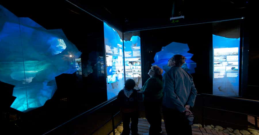 El Calafate: Perito Moreno Glacier, Boat Cruise & Glaciarium - Who will enjoy this glacier experience most