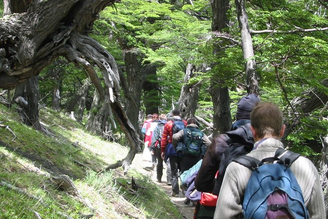 El Chalten Full Day & Free Trek from El Calafate - Lunch, group size, and the price question